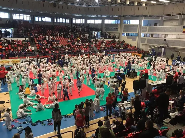 Suprafețele de luptă ale Cupei Miado's